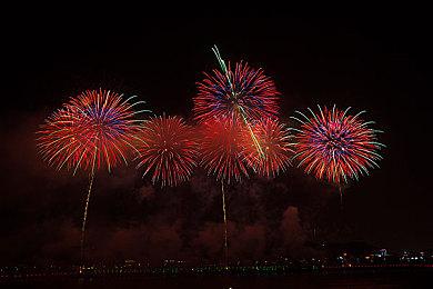 即便新的State of Play在即 但《血源》PC版仍无计划